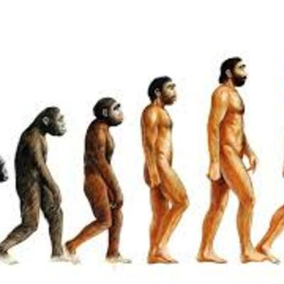 Timeline: «Историю изучения возникновения жизни на Земле»