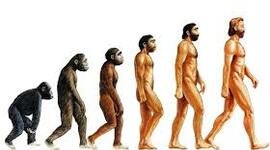 Timeline: «Историю изучения возникновения жизни на Земле»