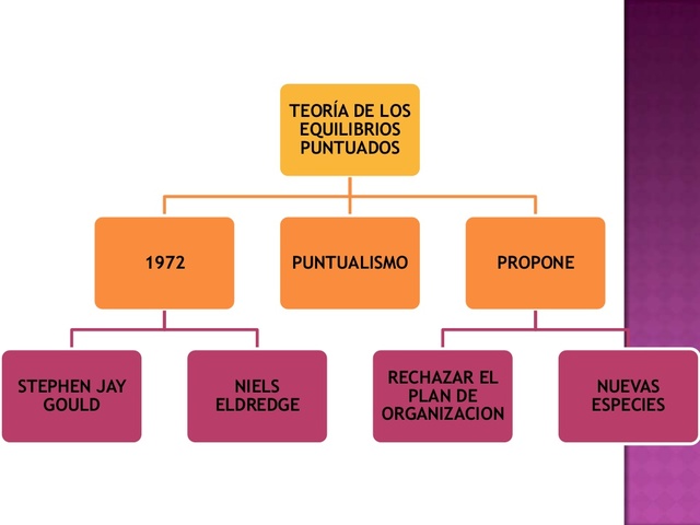 LA TEORÍA DEL PUNTUALISMO