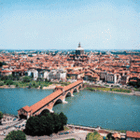 Albert's parents moved to Italy