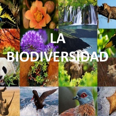 Timeline: Línea del tiempo biodiversidad
