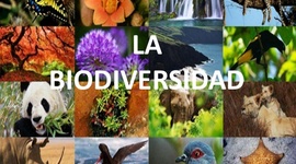Timeline: Línea del tiempo biodiversidad