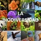 La biodiversidad 1 638
