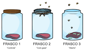 EXPERIMENTO DE FRANCESCO REDI