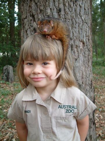 Bindi Irwin