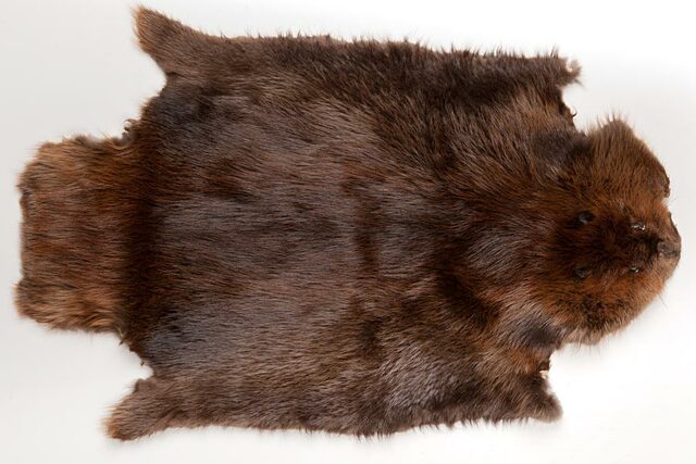 Réduction du territoire d’exploitation