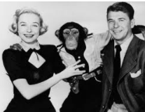 Signing to Hollywood