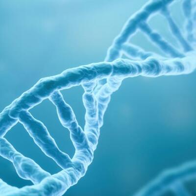 Timeline: línea del tiempo de la historia del descubrimiento y descripción de la estructura del ADN.