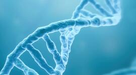 Timeline: línea del tiempo de la historia del descubrimiento y descripción de la estructura del ADN.