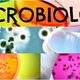 Microbiologia 665x285
