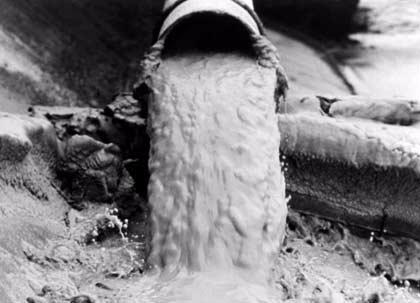 Minamata Bay Disaster