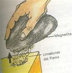 ANTES DE LOS GRIEGOS