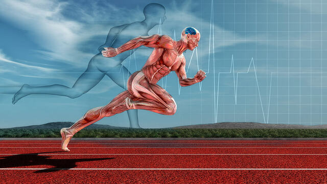 Sistemas de entrenamiento