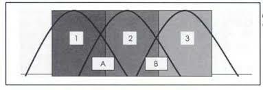 Desarrollo con exito