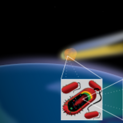 Timeline: Панспермия