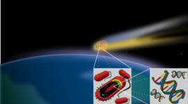 Timeline: Панспермия