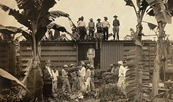 La masacre de las bananeras