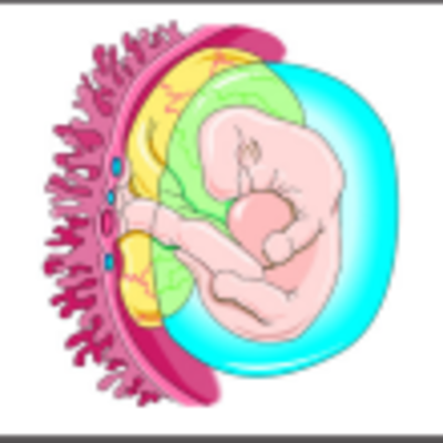 Timeline: Development Timeline