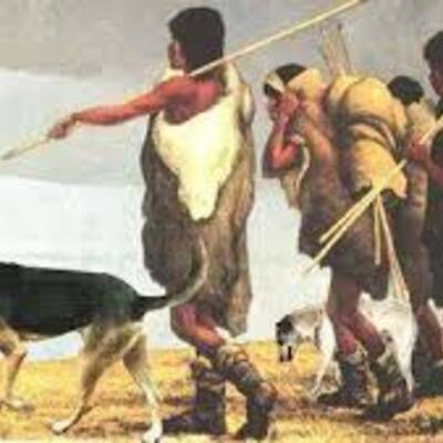 Timeline: Teorías Migracionistas