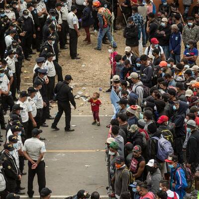 Timeline: migracionistas y características