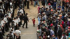 Timeline: migracionistas y características