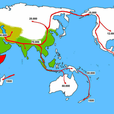 Timeline: TEORÍAS  MIGRACIONISTAS