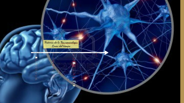 Término Neuropsicología