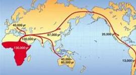 Timeline: Teorías  Migracioncitas Emilio Ortega 1er Curso B