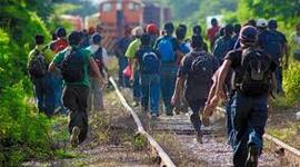 Timeline: teorias migracionistas