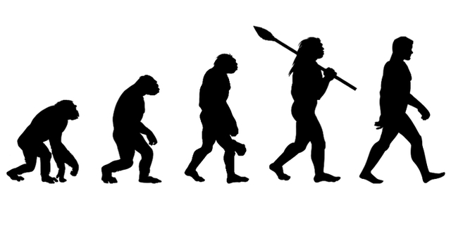 Divination of Natural Selection and Theory of Evolution