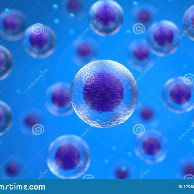 Timeline: Evolución celular