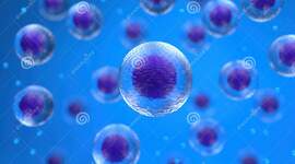 Timeline: Evolución celular