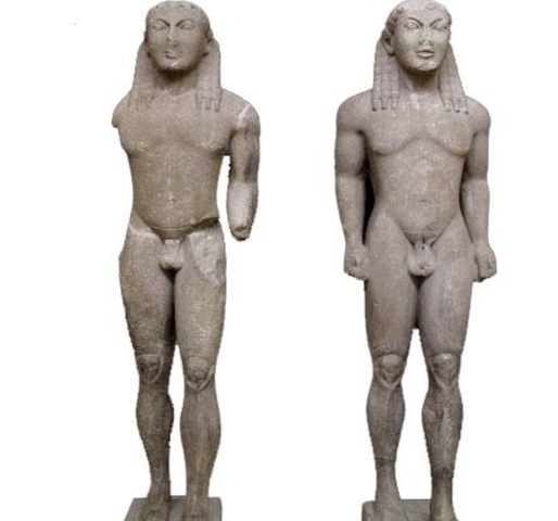 POLYMEDES DI ARGO, DIOSCURI