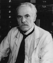 T e o r í a Asiática o del Estrecho de Bering: