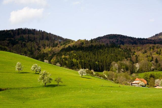 Nationalpark Schwarzwald