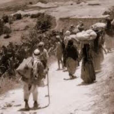 Timeline: Línea de tiempo migraciones