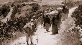 Timeline: Línea de tiempo migraciones