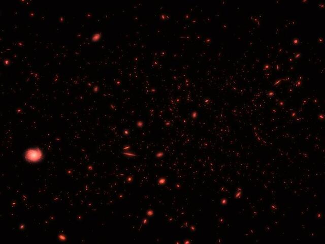 250 millones de años después