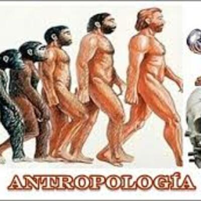 Timeline: Evolución del indigenismo