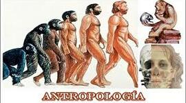 Timeline: Evolución del indigenismo