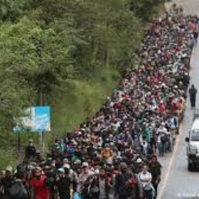 Timeline: ¿De donde venimos?