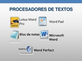 procesador de textos