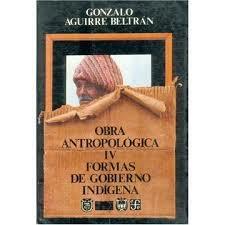 Libro "Formas de gobierno indígena"