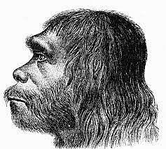 40.000 BCE Hombre Neandertal