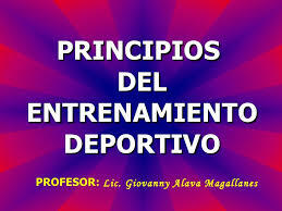 BASES DEPORTIVAS DEL ENTRENAMIENTO DEPORTIVO