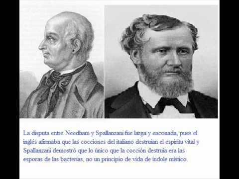Needham y Spallanzzani
