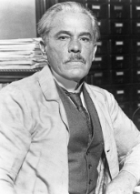 Teoría Asiática o del Estrecho de Bering