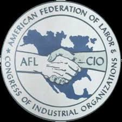 Organización de los Sindicatos  Gremiales en la Federación Estadounidense del  Trabajo (AFL)