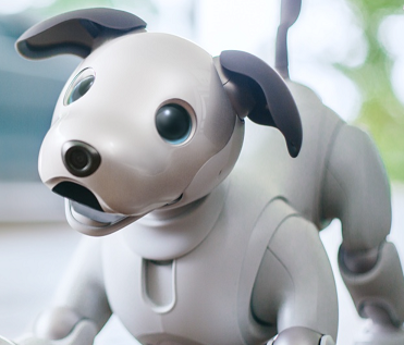 AIBO