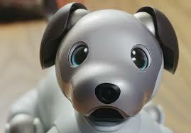 AIBO
